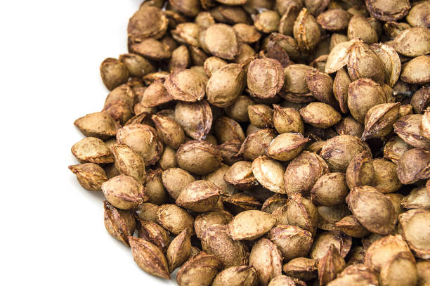 Organic Hemp Seeds